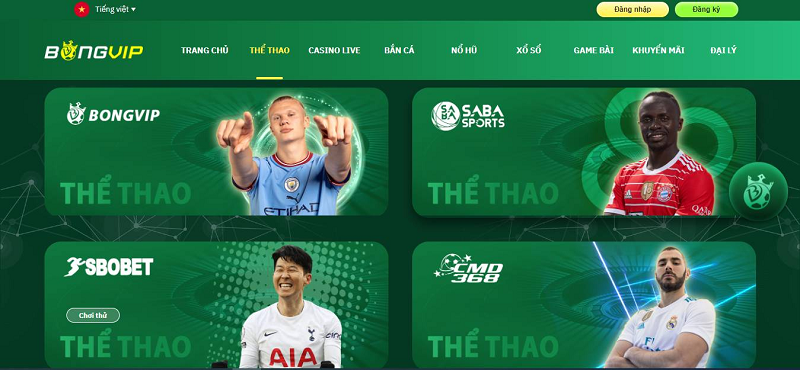 Khám phá thế giới game bài hấp dẫn tại 789 club cùng nhiều phần thưởng lớn
