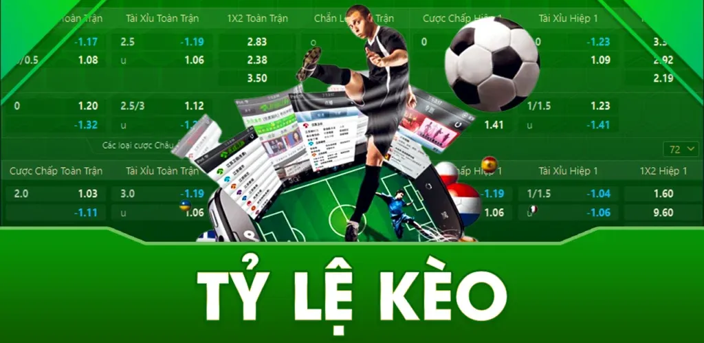 Khám phá những điều thú vị về đụ bồ và bí quyết giúp đụ bồ thêm gắn kết