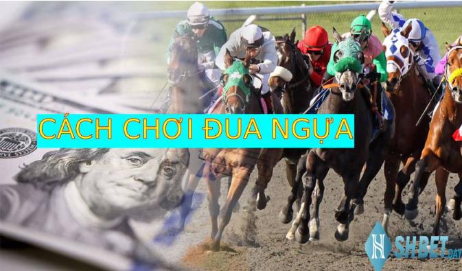 Khám phá online casino testsieger và cách phân biệt online casino testsieger chất lượng Khám phá online casino testsieger và cách phân biệt online casino testsieger chất lượng