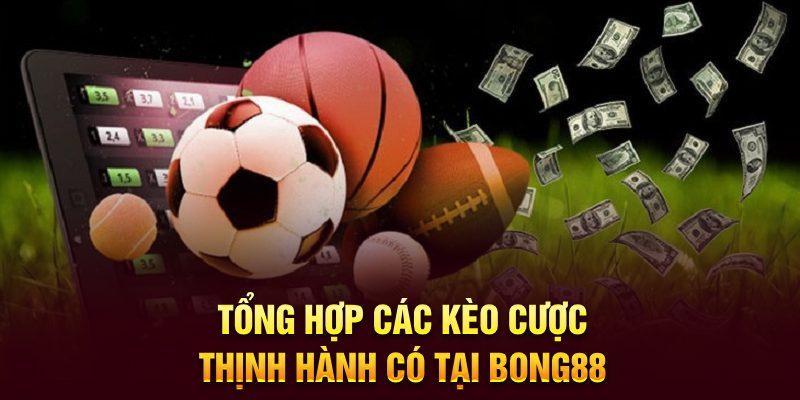 Keo nha cái ty le cập nhật mới nhất và kinh nghiệm soi keo nha cái ty le hiệu quả